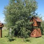 Relax in the Teton Valley Countryside